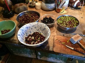 Sorting Olives by Ripeness