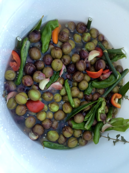 Home Cured Olives
